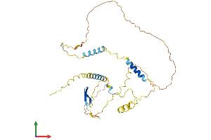 AlphaFold protein structure predicition of Human Recombinant LSP1 Protein, UniprotID P33241