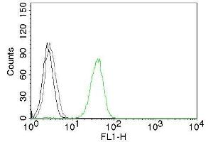 Flow Cytometry of human CD31 on Jurkat cells.