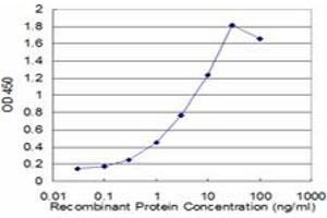 Detection limit for recombinant GST tagged LAMP2 is approximately 0. (LAMP2 antibody  (AA 30-127))