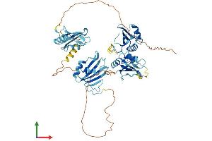 AlphaFold protein structure predicition of Human Recombinant PTBP2 Protein, UniprotID Q9UKA9