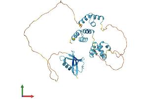 AlphaFold protein structure predicition of Human Recombinant RAD23A Protein, UniprotID P54725