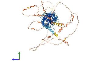 AlphaFold protein structure predicition of Human Recombinant MED25 Protein, UniprotID Q71SY5 (MED25 Protein (AA 1-747) (His tag))