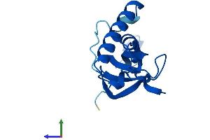 Protein Structure (PS) image for Ribosomal Protein L27 (RPL27) (AA 1-136) protein (His tag) (ABIN7556584)