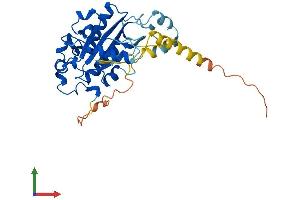 AlphaFold protein structure predicition of Human Recombinant PLCXD2 Protein, UniprotID Q0VAA5 (PLCXD2 Protein (AA 1-305) (His tag))