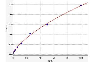 Typical standard curve (PRSS2 ELISA Kit)