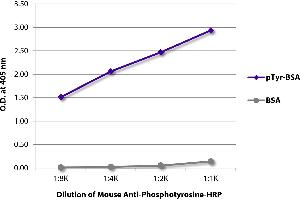 ELISA plate was coated with BSA and BSA conjugated to phosphotyrosine (pTry-BSA). (Phosphotyrosine antibody  (HRP))