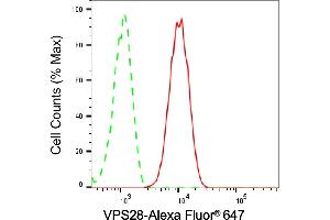 Flow cytometric analysis of VPS28 expression in C2C12 cells using VPS28 antibody (ABIN7800926), 1:2,000). (Recombinant VPS28 antibody)