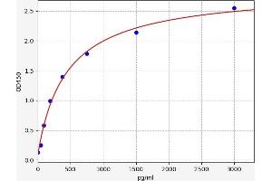 AMH ELISA Kit