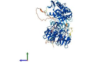 Protein Structure (PS) image for Influenza Virus NS1A Binding Protein (IVNS1ABP) (AA 1-642) protein (His tag) (ABIN7564843)