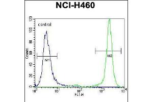 Flow cytometric analysis of NCI-H460 cells (right histogram) compared to a negative control cell (left histogram). (Histone 3 antibody  (AA 50-78))