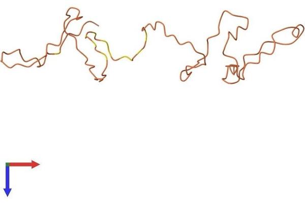 KRTAP5-11 Protein (AA 1-156) (His tag)