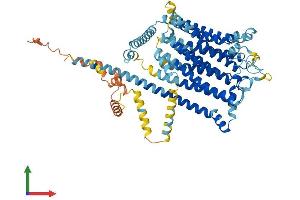 AlphaFold protein structure predicition of Mouse Recombinant Tmc4 Protein, UniprotID Q7TQ65