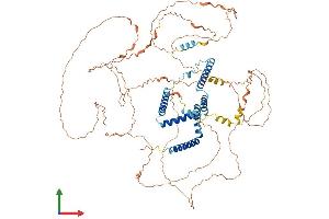 AlphaFold protein structure predicition of Human Recombinant RTN1 Protein, UniprotID Q16799 (Reticulon 1 Protein (RTN1) (AA 1-776) (His tag))