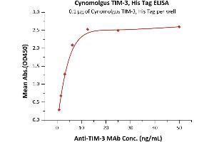 Immobilized Cynomolgus TIM-3, His Tag (ABIN6731286,ABIN6809968) at 1 μg/mL (100 μL/well) can bind Anti-TIM-3 MAb with a linear range of 0. (TIM3 Protein (AA 22-201) (His tag))