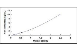 Typical standard curve (Kallikrein 6 ELISA Kit)