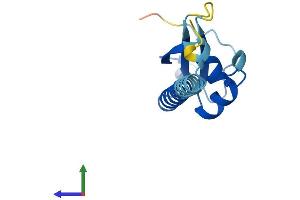AlphaFold protein structure predicition of Mouse Recombinant Dppa5a Protein, UniprotID Q9CQS7 (DPPA5A Protein (AA 1-118) (His tag))