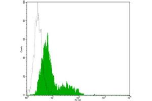 Flow Cytometry (FACS) image for anti-CD34 (CD34) antibody (Biotin) (ABIN2144309) (CD34 antibody  (Biotin))