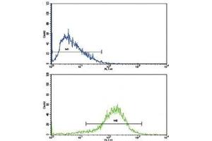 Flow cytometric analysis of HepG2 cells using IFNB1 antibody (blue) compared to a negative control (green). (IFNB1 antibody  (AA 39-66))