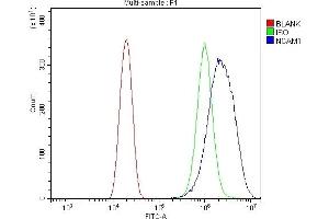 Flow Cytometry analysis of U20S cells using anti-NCAM1 antibody (ABIN7602512). (CD56 antibody  (AA 80-328))
