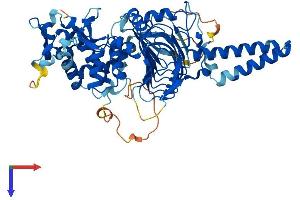 Protein Structure (PS) image for TBCC Domain Containing 1 (TBCCD1) (AA 1-557) protein (His tag) (ABIN7544169)