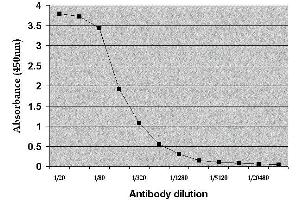 ELISA image for anti-Albumin (ALB) antibody (FITC) (ABIN2477337) (Albumin antibody  (FITC))