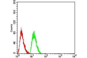 Flow Cytometry (FACS) image for anti-V-Akt Murine Thymoma Viral Oncogene Homolog 1 (AKT1) (AA 1-150) antibody (ABIN5856183) (AKT1 antibody  (AA 1-150))