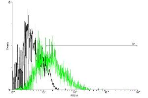FACS analysis of negative control 293 cells (Black) and CCR5 expressing 293 cells (Green) using CCR5 purified MaxPab mouse polyclonal antibody. (CCR5 antibody  (AA 1-352))