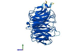 AlphaFold protein structure predicition of Mouse Recombinant Pex7 Protein, UniprotID P97865