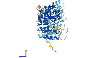 AlphaFold protein structure predicition of Human Recombinant PRAMEF2 Protein, UniprotID O60811 (PRAMEF2 Protein (AA 1-474) (His tag))