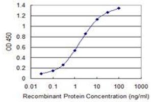 Detection limit for recombinant GST tagged SHC3 is 0. (SHC3 antibody  (AA 381-480))