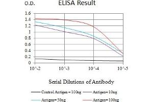 Black line: Control Antigen (100 ng),Purple line: Antigen (10 ng), Blue line: Antigen (50 ng), Red line:Antigen (100 ng) (VEGFR2/CD309 antibody  (AA 1225-1356))