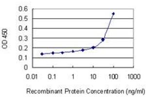 Detection limit for recombinant GST tagged DUX3 is 3 ng/ml as a capture antibody. (DUX3 antibody  (AA 1-95))