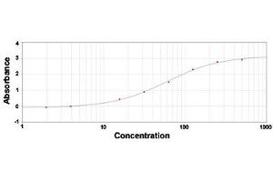 ELISA analysis of ALB polyclonal antibody  under 2 ug/mL working concentration. (Albumin antibody)