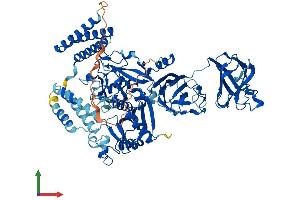 AlphaFold protein structure predicition of Human Recombinant CAPN7 Protein, UniprotID Q9Y6W3 (Calpain 7 Protein (CAPN7) (AA 1-813) (His tag))