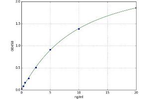 A typical standard curve