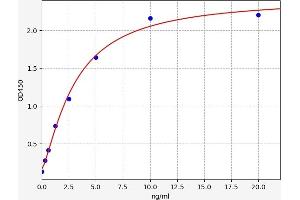 SMAD1 ELISA Kit