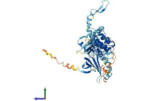 Protein Structure (PS) image for NRBP2 (NRBP2) (AA 1-499) protein (His tag) (ABIN7559973)