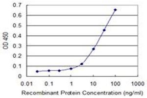 Detection limit for recombinant GST tagged ZFYVE19 is 1 ng/ml as a capture antibody. (ZFYVE19 antibody  (AA 1-396))