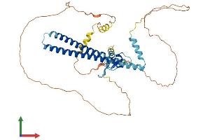 AlphaFold protein structure predicition of Mouse Recombinant Ing3 Protein, UniprotID Q8VEK6 (ING3 Protein (AA 1-421) (His tag))