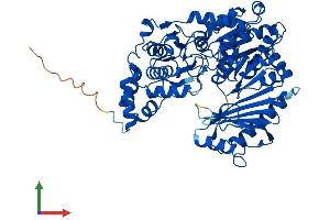 AlphaFold protein structure predicition of Mouse Recombinant Pgm2l1 Protein, UniprotID Q8CAA7 (PGM2L1 Protein (AA 1-621) (His tag))