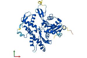 Protein Structure (PS) image for ARP1 Actin-Related Protein 1 Homolog B, Centractin beta (ACTR1B) (AA 1-376) protein (His tag) (ABIN7559780)