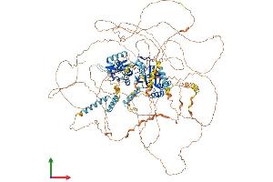 Protein Structure (PS) image for Period Homolog 1 (Drosophila) (PER1) (AA 1-1290) protein (His tag) (ABIN7554934)