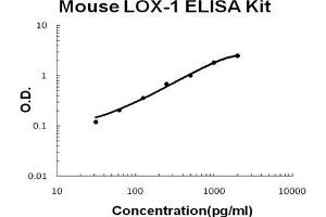 Mouse LOX-1/OLR1 PicoKine ELISA Kit standard curve (OLR1 ELISA Kit)