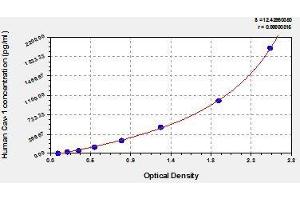 Typical standard curve (Caveolin-1 ELISA Kit)