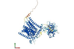 Protein Structure (PS) image for Protein-O-Mannosyltransferase 1 (POMT1) (AA 1-746) protein (His tag) (ABIN7559700)