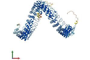 AlphaFold protein structure predicition of Mouse Recombinant Ankrd44 Protein, UniprotID B2RXR6 (ANKRD44 Protein (AA 1-993) (His tag))