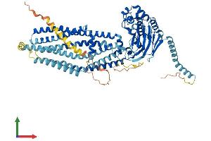 AlphaFold protein structure predicition of Mouse Recombinant Abcd1 Protein, UniprotID P48410 (ABCD1 Protein (AA 1-736) (His tag))