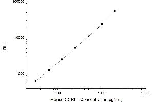 Typical standard curve (CCRL1 CLIA Kit)