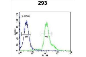 Flow Cytometry (FACS) image for anti-R-Spondin 2 (RSPO2) antibody (ABIN3002286) (RSPO2 antibody)