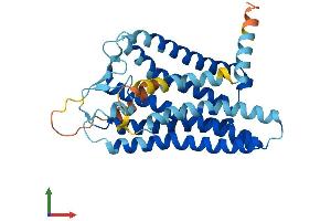 AlphaFold protein structure predicition of Human Recombinant OR10R2 Protein, UniprotID Q8NGX6 (OR10R2 Protein (AA 1-335) (His tag))